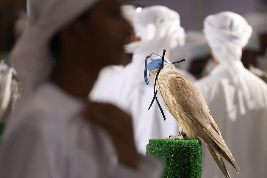 ADIHEX 2024: Embracing Arabian Culture in the Wild West of the Emirates ...